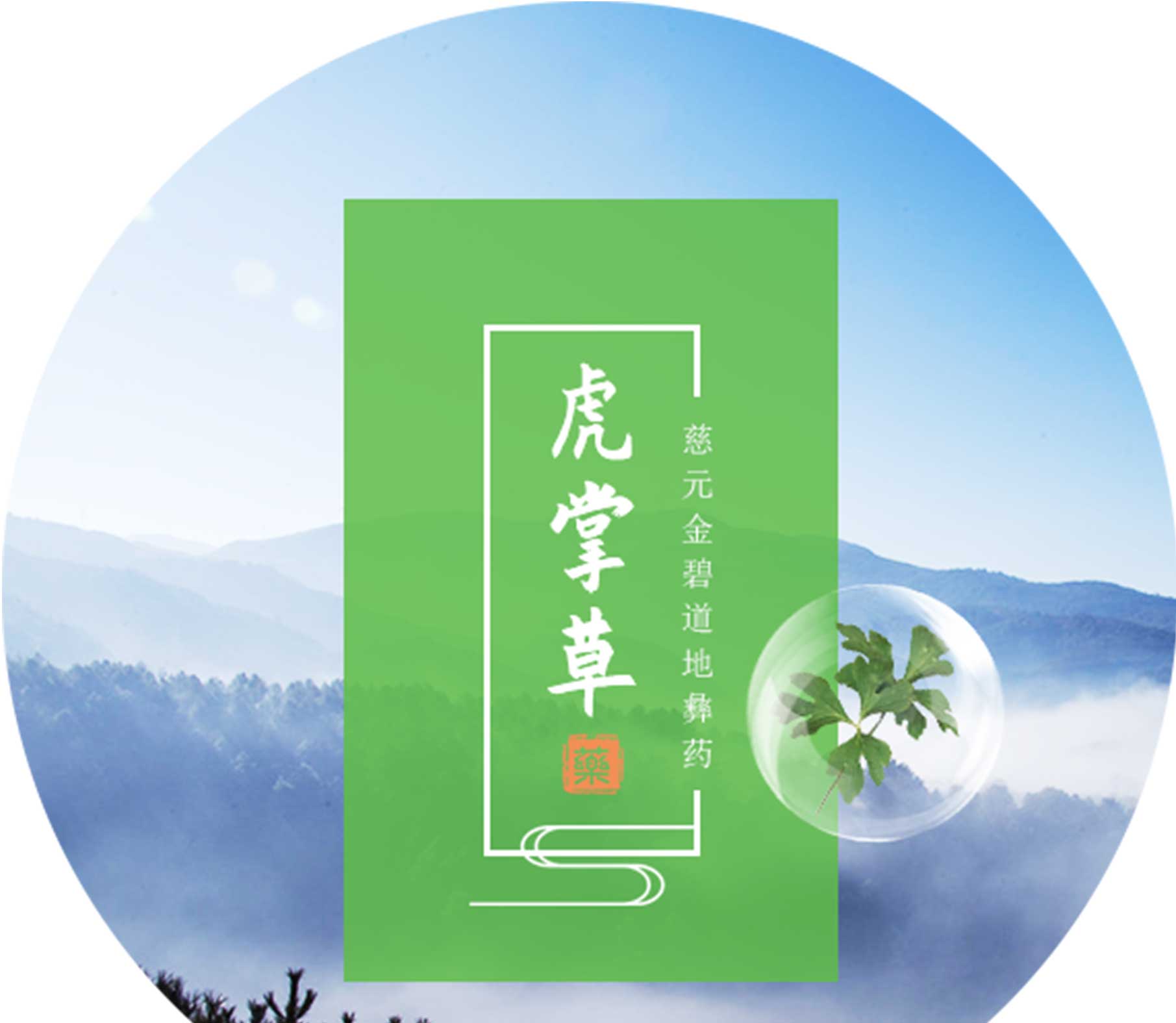 地道彝药